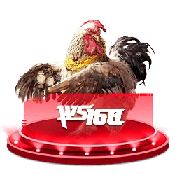 ค่าย WS168 หมวดไก่ชน